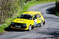 Ronnie_Hawe_Monaghan_Stages_Rally_April_24th_2022-97