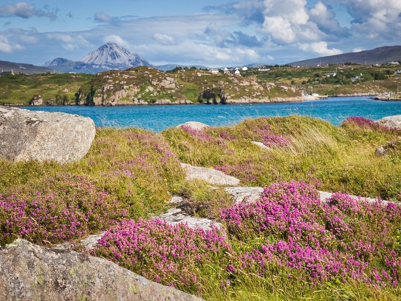 Errigal viewed from Cruit Island, Co. Donegal.jpg