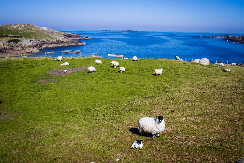 Near Dooey, Atlantic Drive, Co. Donegal.jpg