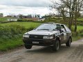 Monaghan_Rally_2012-200