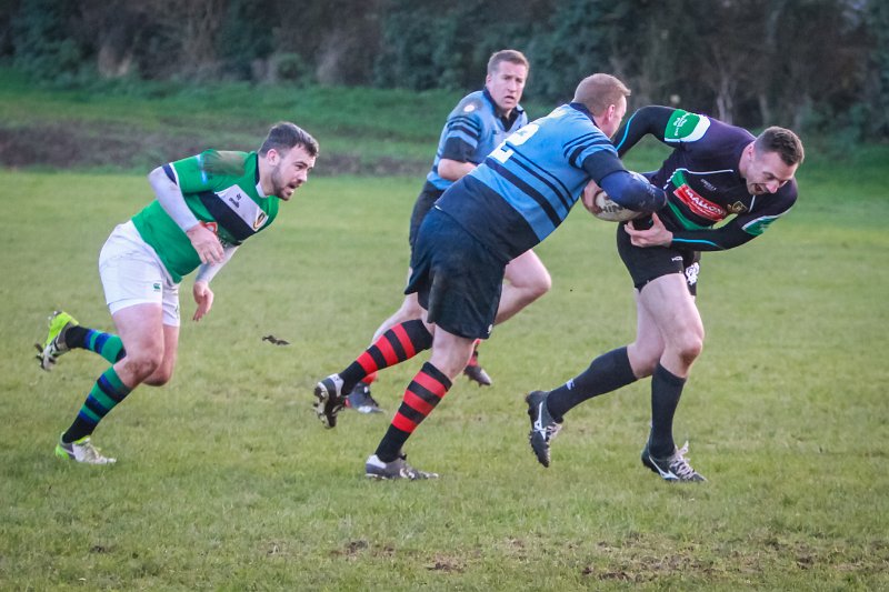 Monaghan_V_Perennials_December_4th_2023 (32).jpg