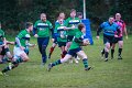 Monaghan_V_Perennials_December_4th_2023 (1)