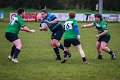Monaghan_V_Perennials_December_4th_2023 (11)
