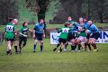Monaghan_V_Perennials_December_4th_2023 (13)
