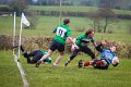 Monaghan_V_Perennials_December_4th_2023 (16)