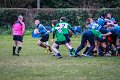 Monaghan_V_Perennials_December_4th_2023 (17)