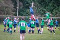 Monaghan_V_Perennials_December_4th_2023 (2)