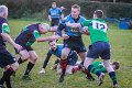 Monaghan_V_Perennials_December_4th_2023 (26)
