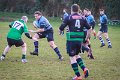 Monaghan_V_Perennials_December_4th_2023 (27)