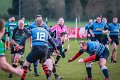 Monaghan_V_Perennials_December_4th_2023 (30)