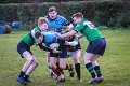 Monaghan_V_Perennials_December_4th_2023 (33)