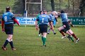 Monaghan_V_Perennials_December_4th_2023 (35)