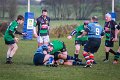 Monaghan_V_Perennials_December_4th_2023 (37)