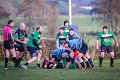 Monaghan_V_Perennials_December_4th_2023 (41)