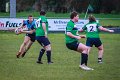 Monaghan_V_Perennials_December_4th_2023 (5)