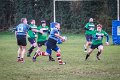 Monaghan_V_Perennials_December_4th_2023 (51)