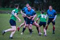 Monaghan_V_Perennials_December_4th_2023 (6)