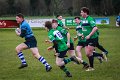 Monaghan_V_Perennials_December_4th_2023 (9)
