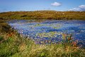 Lake on the Beara Peninsula