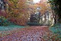 Rossmore_Autumn-11