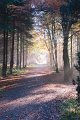 Rossmore_Autumn-17