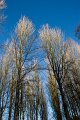 Rossmore_Autumn-2