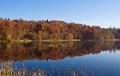 Rossmore_Autumn-20