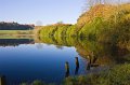 Rossmore_Autumn-3
