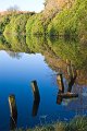 Rossmore_Autumn-4
