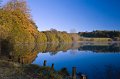 Rossmore_Autumn2-2