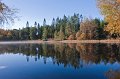 Rossmore_Autumn2-4