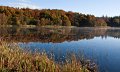 Rossmore_Autumn2-5