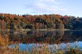 Rossmore_Autumn2-6
