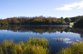 Rossmore_Autumn2-7