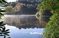 Rossmore_Autumn2-8