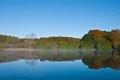 Rossmore_Autumn2