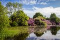 Rossmore_Rhodies-11