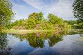 Rossmore_Rhodies-16