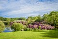 Rossmore_Rhodies-17