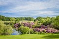 Rossmore_Rhodies-18