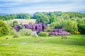Rossmore_Rhodies-21