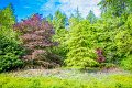 Rossmore_Rhodies-22